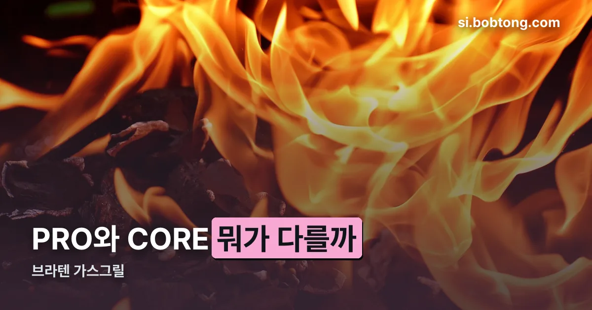 브라텐 가스그릴 정리 썸네일