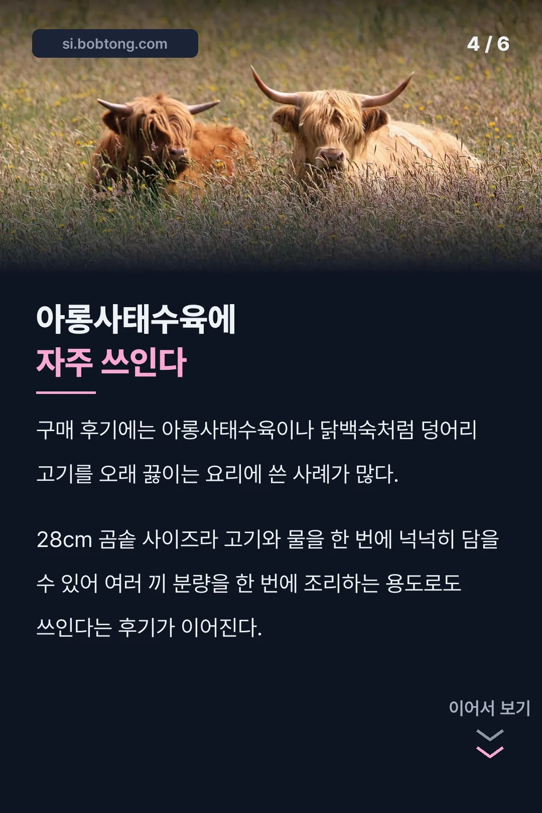 아롱사태수육·닭백숙 후기