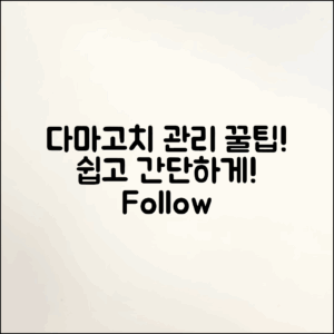 누구나 쉽게 따라 하는 다마고치 관리 꿀팁