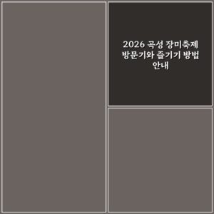 2026 곡성 장미축제 방문기와 즐기기 방법 안내
