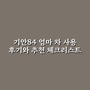 기안84 엄마 차 사용 후기와 추천 체크리스트