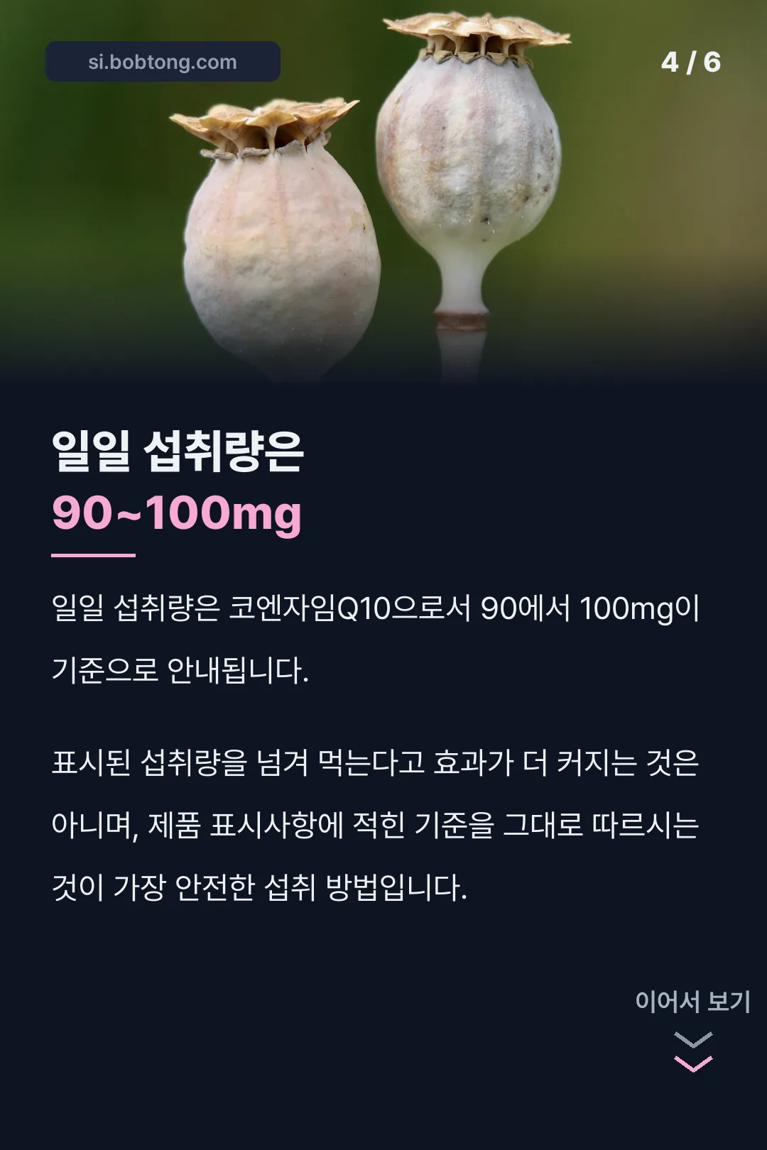 일일 섭취량 기준