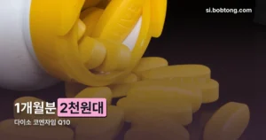다이소 코엔자임 Q10 정리 썸네일