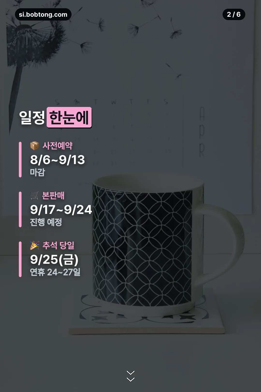 일정 한눈에 보기