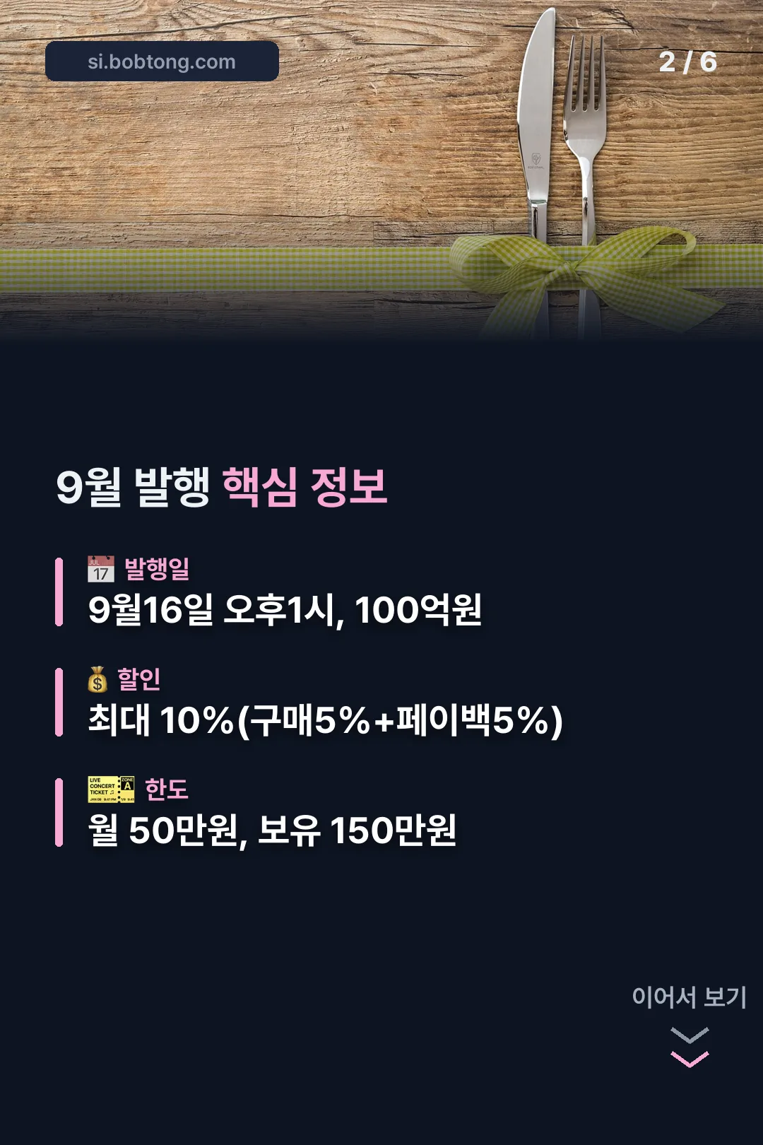 발행 핵심 정보