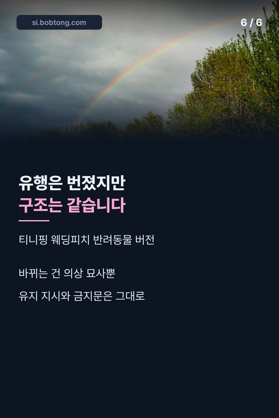 파생 유행 안내