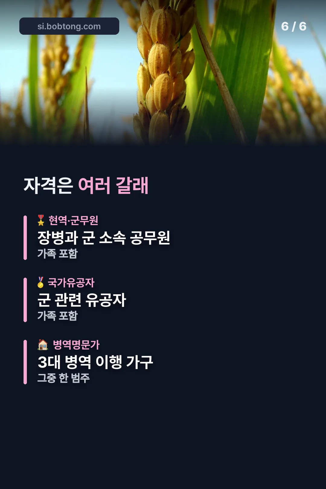자격 범주는 여러 갈래